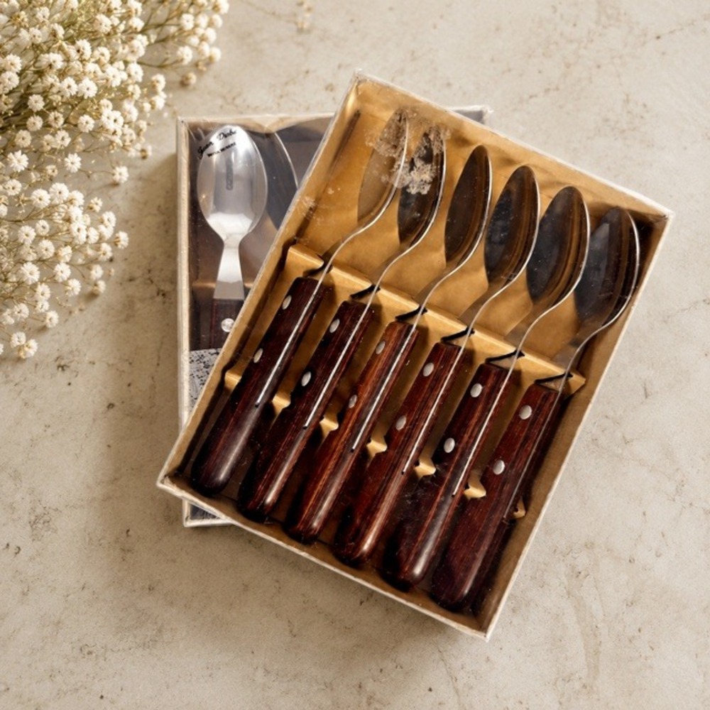 Vintage Jean Dubost France Teaspoon Set 10 Wood Handle Stainless Boxed NOS